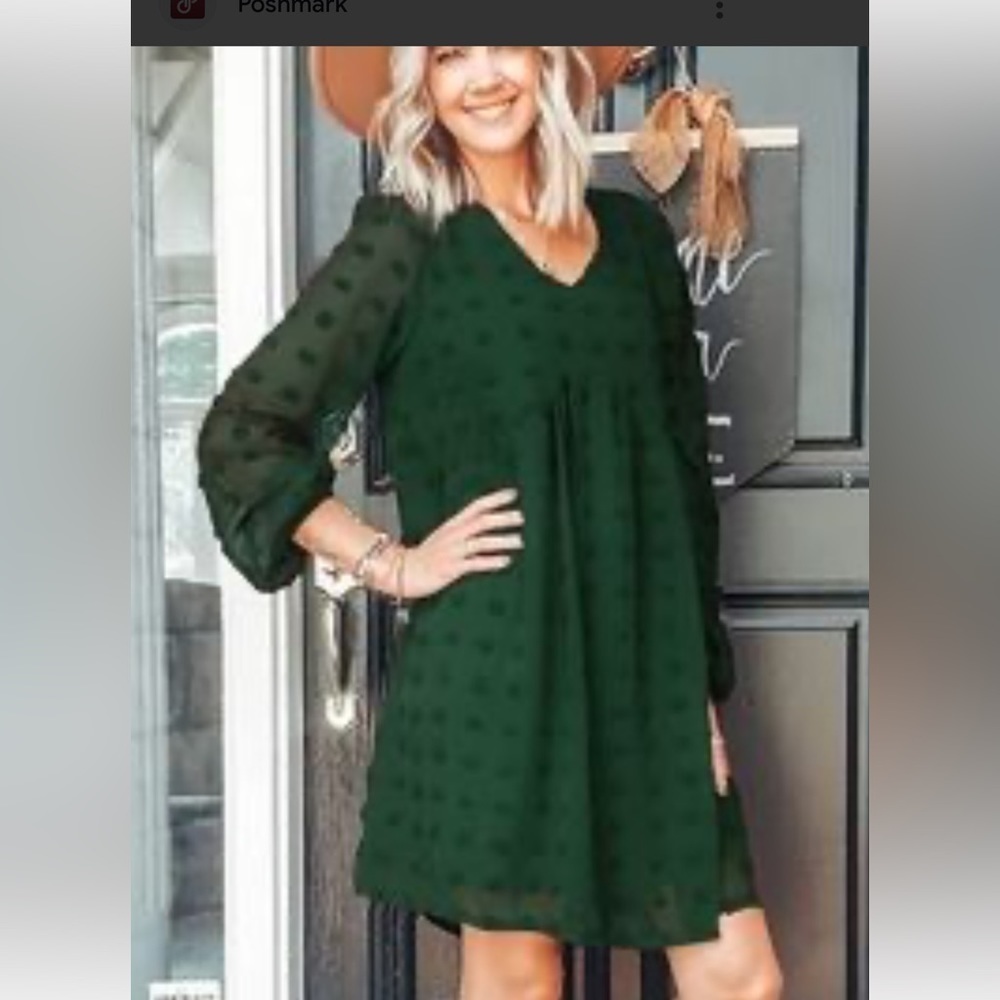 New With Tags textured chiffon dress emerald green size large lined